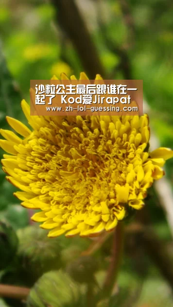  LOL全球总决赛下注官方网站